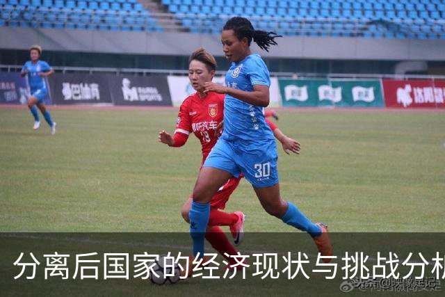 分离后国家的经济现状与挑战分析
