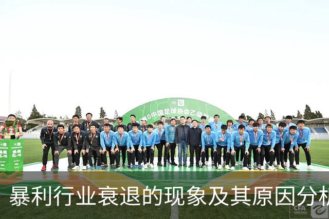 暴利行业衰退的现象及其原因分析
